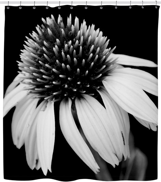 Cone Flower Black & White Shower Curtain