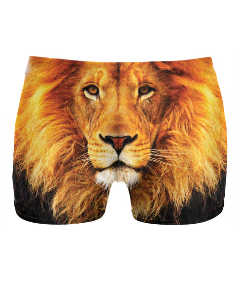 Lion Underwear