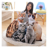 Realistic Cat Pillows